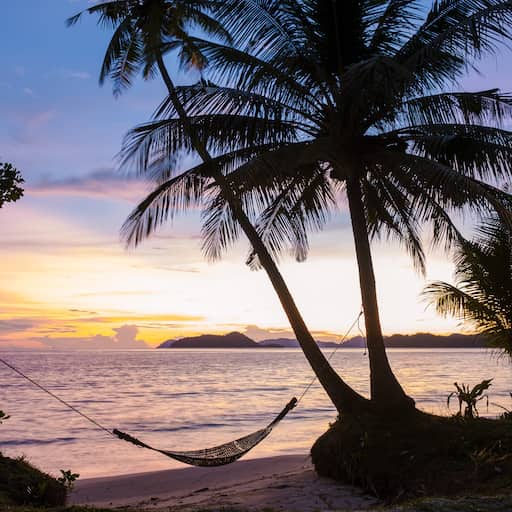 sunset on the beach with palm tree and hammock ko 2026 01 06 10 45 47 utc 1
